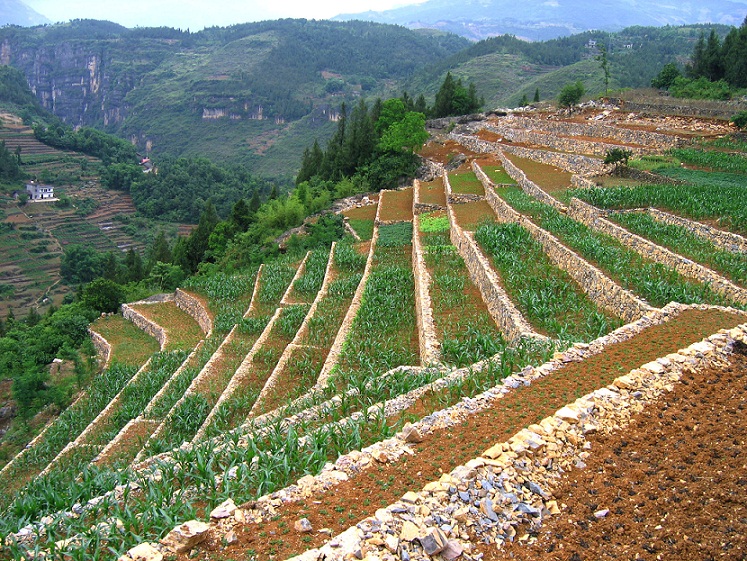 文山州石漠化综合治理模式探讨